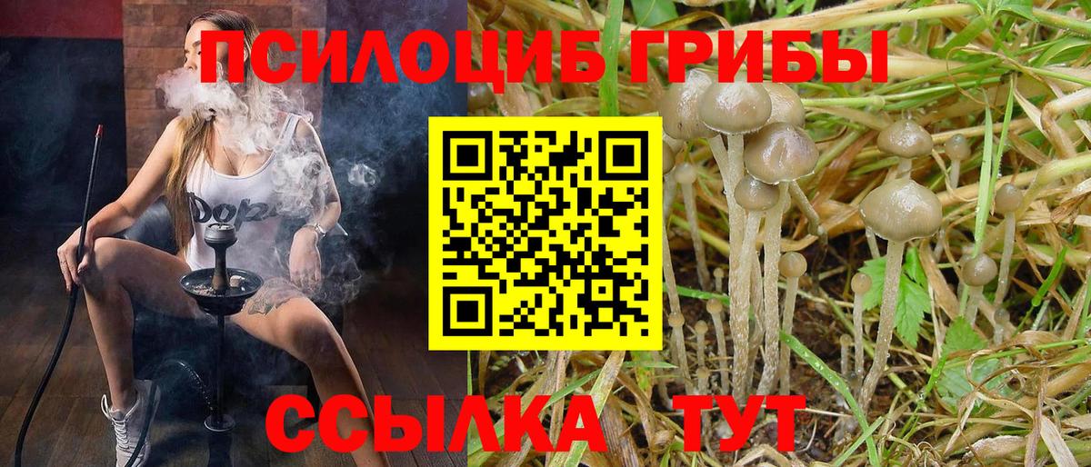 Апшеронск  Галлюциногенные грибы мухоморы  Псилоцибиновые грибы прущие грибы  Вход с VPN 