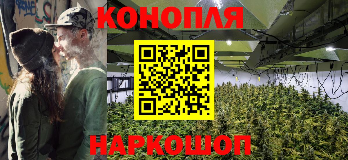 Апшеронск  Каннабис OG Kush  Канабис OG Kush  Вход с VPN 